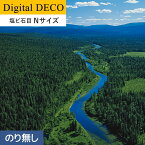 【壁紙】クロス【のりなし壁紙】リリカラ デジタル・デコ 森 PEACE OF FOREST ウラルのタイガ林 塩ビ石目 Nサイズ__d8082wn