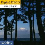 【壁紙】クロス【のりなし壁紙】リリカラ デジタル・デコ 御浜岬の望遠富士 和紙 Jサイズ__d8106yj