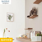 【壁紙】クロス【のり付き壁紙】サンゲツ Reserve スーパー耐久性 RE53731・RE53732*RE53731 RE53732