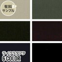 【1日限定!全商品ポイント2倍】【生地 布生地】【ストレッチ】ライクラタフタ N90% PU10% 【サンプル見本帳】 L-212__spl-l212-a-1