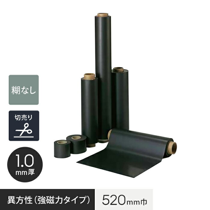 ۡڸҤʤ ޥͥ ʶϥס 1.0mm 520__mag-002669-k