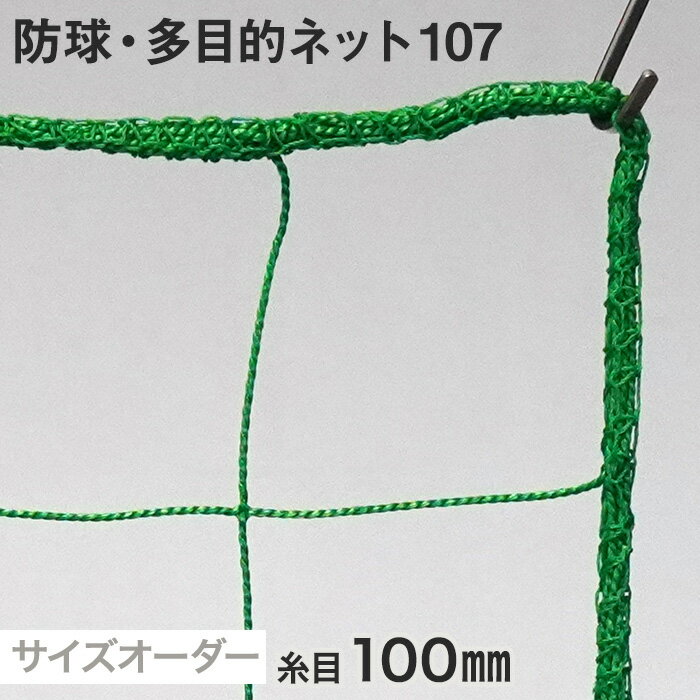 【ネット 網】【オーダー897円～】防球・多目的ネット 107番 網目100mm 糸の太さ2.2mm ポリエチレン製_..