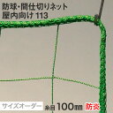 【ネット 網】【オーダー1,337円～】【防炎】防球・間仕切りネット 屋内向け 113番 網目100mm 糸の太さ2.0mm ポリエステル製__ds-113