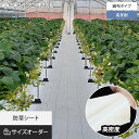 【ネット 網】【オーダー319円〜】防草シート アグリシート シャインホワイト 日本ワイドクロス サイズオーダー__net-nwc-21