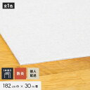 【パンチカーペット】【個人配送】 パンチカーペット TEX62 182cm巾×30m巻 【1本売】 ホワイト__tex62-182-858
