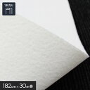 【パンチカーペット】【個人様向け】パンチカーペット ゼットパンチ 182cm巾×30m巻【1本売】 ホワイト__182zp-w