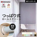 【ロールスクリーン】【オーダー7,513円〜】つっぱり ロールスクリーン オーダー 立川機工 ファーステージ ココルン防炎 標準生地__rolltkk-t-00...