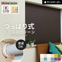 【ロールスクリーン】【オーダー8,085円〜】つっぱり ロールスクリーン 遮光2級 オーダー 立川機工 ファーステージ ネムロ__rolltkk-t-006