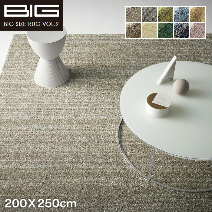 【ラグカーペット】【防音】スミノエ BIG リュストル 200X250cm*LS46 LS40 LS4 LS48 LS12 LS47 LS1 LS42 LS49 LS18__cp13440047-4-