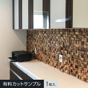 【壁面装飾】【サンプル】TIME&GARDEN テキサスショートキューブ __tg-tsc-s