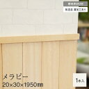 【羽目板】壁用見切り 12mm用 メラピー 溝加工あり 20mm×30mm×1950mm__sym-mkr-m-12-m