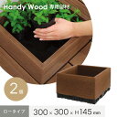 【ウッドデッキ】ハンディウッド 置くだけデッキ コンテナ ロータイプ 300×300×H145mm (2個入り)*HI-C303014B-2 HI-C30301...