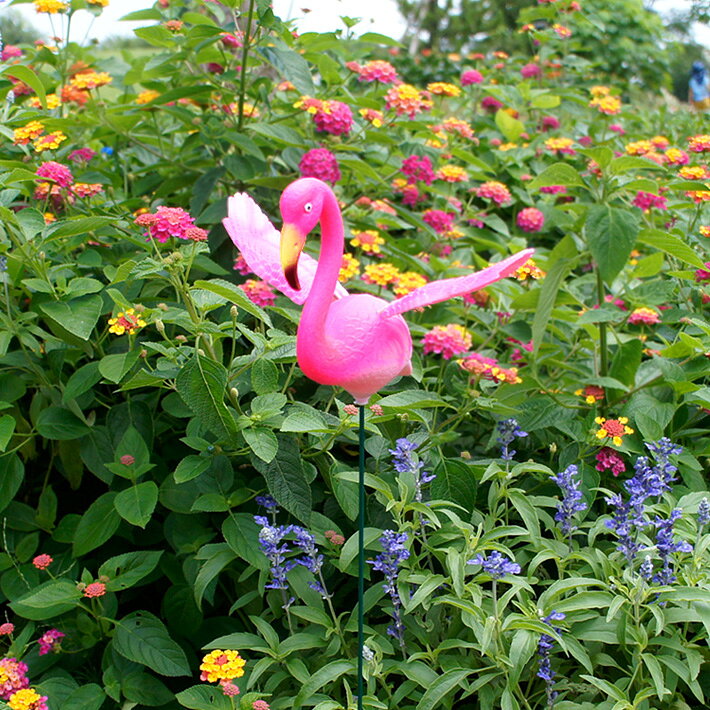 フラミンゴ オープン ウイング ガーデン ステイク Flamingo with Open Wings Garden Stake ガーデンアクセサリー ガーデニング プランター 花壇 フラミンゴ ピンク おしゃれ かわいい ユニーク アメ雑 ガーデンピック オーナメントの商品画像 3