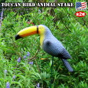 yN[|zzzyyz IInV Aj} XeCN yS2z  o[h K[fsbN K[f ANZT[ K[fjO v^[ Ԓd  j[N AJG sbN  CeA  I[ig  N`oV Toucan Bird Animal Stake