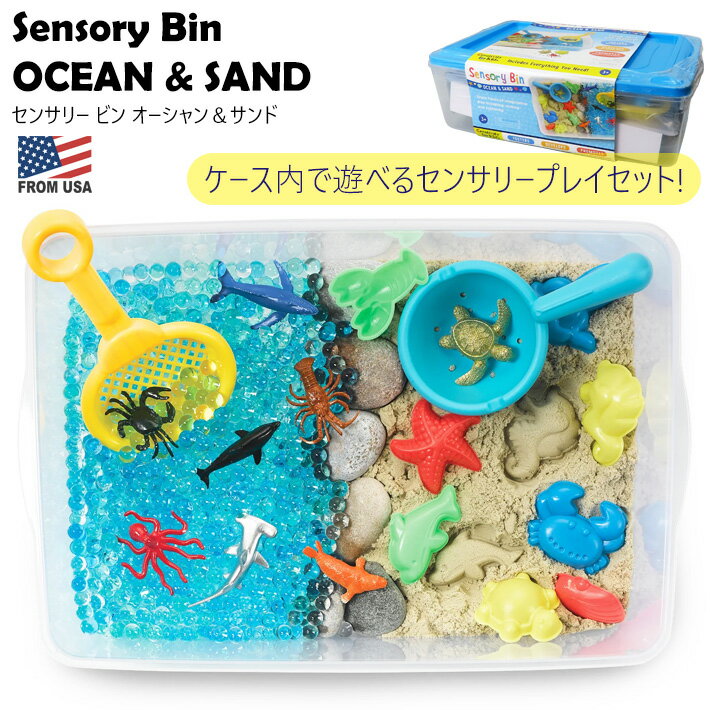 【500円OFFクーポン】【あす楽】 センサリービン オーシャン ＆ サンド　センサリープレイ セット 海 砂 知育 生き物 ケース入り おもちゃ トイ 遊び 室内 創造 クリエイティブ 指先 砂遊び 省スペース 可愛い Sensory Bin Ocean and Sandのサムネイル
