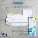 \楽天 最安値!/東レ さららビューティー 夏用 ストレッチ足袋 刺繍 レース ストレッチ 足袋 ソックス ナイロン 礼装 着物 和装 おしゃれ着物 フリーサイ...