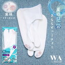 \楽天 最安値!/東レ さららビューティー 夏用 ストレッチ足袋 刺繍 レース ストレッチ 足袋 ソックス ナイロン 礼装 着物 和装 おしゃれ着物 フリーサイ...