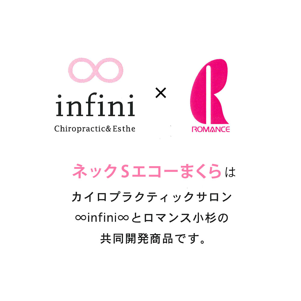 【最短出荷】 エコーまくら ロマンス小杉 ネックSエコーまくら ネックスエコーまくら ロマンスエコー ストレートネック対策 肩こり 首こり スマホ首 整体 腰 肩 首 足 贈り物 プレゼント ギフト 4505-1100 [2]