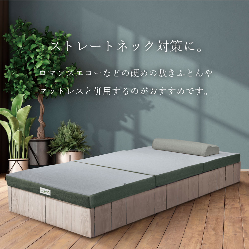 【最短出荷】 エコーまくら ロマンス小杉 ネックSエコーまくら ネックスエコーまくら ロマンスエコー ストレートネック対策 肩こり 首こり スマホ首 整体 腰 肩 首 足 贈り物 プレゼント ギフト 4505-1100 [3]
