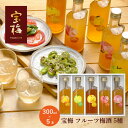 【 宝梅 フルーツ梅酒 5種セット 化粧箱入り 】飲み比べ みかん・はっさく・ゆず・もも・りんご 各300ml ×5本 梅酒セット 紀州南高梅 酒直 和歌山 ギ...