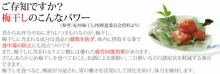 ���»���� ����Ȣ���� 6γ���ߴ��� �Ϥ��ߤ� ʡ˭�� ���� ����� �²λ� ��� ���ᴳ�� 150g ��ʬ8�� �����û��þ��� ���� ���� ��� �ˤ� £�� ���ڻ� £��ʪ �ץ쥼��� ���ե� ���路�� PK-06