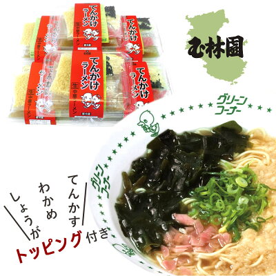 暮らしと眠りを楽しむ店 和っふる てんかけラーメン 6個入り 和歌山 特産 ラーメン生ラーメン グリーンコーナー 和歌山らーめん 6食セット 麺 生麺 昔 なつかしい 産直商品 お取り寄せ 和歌山ラーメン【日時指定不可・ラッピング不可・のし不可・沖縄配送不可】 画像2