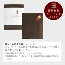 【ポイント5倍 5/16 1：59迄 お買い物マラソン限定】 【在庫限り】【アクアドロップ レスキュー How to グリーン】 風呂敷 ふろしき 100cm 大判 防水 撥水加工 はっ水 100％ フロシキ風呂敷大判 風呂敷 おしゃれ 雨の日 対策 梅雨 グッズ 防災ふろしき【タイプA-M対応商品】 3