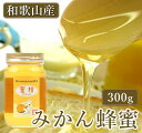 【2025年新蜜 予約販売中 5月末入荷予定】 蜜柑 みかん はちみつ 国産 蜂蜜 ハチミツ 300g 村上養蜂 和歌山産 ミカン 安心高品質 はちみつ 国産純...