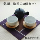 お買い物マラソン期間中ポイント最大20倍!!梅原タツオ作のシンプルでモダンな急須セット 2柄2色 伝統工芸品 贈答品 WDH