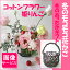 ■冬のモコモコ花かご■冬のあったかギフトにあけび手つき籠にモコモコした季節の花■トルコキキョウ【生花・フラワーギフト・アレンジメント】花と器・和の花■画像配信
