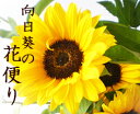 毎月届く花　花の定期便　月命日の花■花便り12か月コース■一