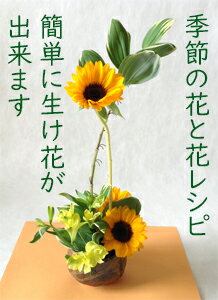 楽天市場 いけばなキット ヒマワリの生け花セット 生け花はじめてセット いけ花の花材 高齢者 年配のレクリエーション 認知症予防とリハビリ いけ花 初心者華道セット いけばなセットお試し版 送料無料 和の花 和の花 楽天市場 いけばなキット ヒマワリの生け花セット 生け花はじめてセット いけ花の花材 高齢者 年配のレクリエーション 認知症予防とリハビリ いけ花 初心者華道セット いけばなセットお試し版 送料無料 和の花 和の花