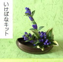 生け花セット・3か月コース■ いけばなキット・初心者用■フラワーサブスクリプション リンドウの生花 お母さんの趣味に 花定期便 初めての生け花 初心者 華道セ...