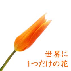 オーダーメイドの花■世界に1つだけの花　敬老の日　オーダーメイドフラワーアレンジメント　古希祝、喜寿祝、金婚式、ハレの日、結婚祝い　新築祝い　展覧会　特別な日に贈るフラワーギフト　和風の花【生花・和風フラワーアレンジメント】長文メッセージ可■花と器・和の花