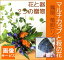 秋の花とマルチカップ■花と器2つの贈物・唐草模様のカップに鶏頭、竜胆の和風フラワーアレンジメント【生花】■画像配信サービス