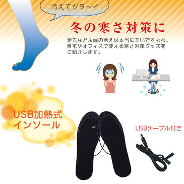 USB給電 インソールウォーマー 電熱 足元 ヒーター 靴 中敷き あったか グッズ オフィス 事務 冷え防止 防寒 寒さ対策 【冬用品】◇ZHL-1215【メール便】