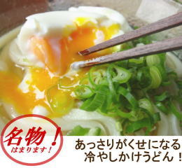 冷やしかけうどん 6人前 本生 ギフト セット お祝い 内祝い 讃岐 プレゼント お取り寄せ グルメ こだわり 本生うどん 北海道産小麦 本生 うどん 国産 箱入り ご自宅用 贈答用 北海道・東北・沖縄・離島へのお届別途1100円