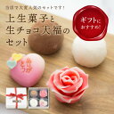 【上生菓子+生チョコ大福セット】和菓子/プチギフト/生チョコ大福 ガナッシュ 生クリーム大福 贈り物 プレゼント