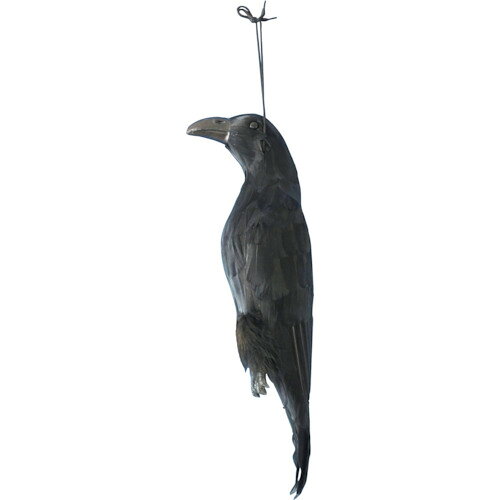 ★特徴★ 害鳥を撃退します。ハト・スズメなどにも効果があります。 ★用途★ 害鳥を撃退します。ハト・スズメなどにも効果があります。 ★商品スペック★ 仕様・規格 対象生物：カラス・ハト・スズメ 幅(mm)：160 奥行(mm)：140 高さ(mm)：540 色：ブラック 仕様・規格2 天然羽毛のリアルタイプ 吊り方2種類 材質／仕上 耐候性低密度ポリエチレン 天然羽毛 入数 1個 質量・質量単位 330g 製造国 中国 品番 EG-38 JANコード 4978684305512 メーカー名 （株）ミツギロン