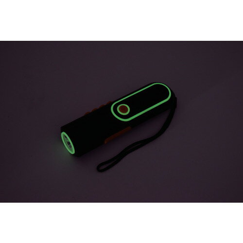NICHIDO 自家発電LEDライト 手回し充電タイプ ラジオ付