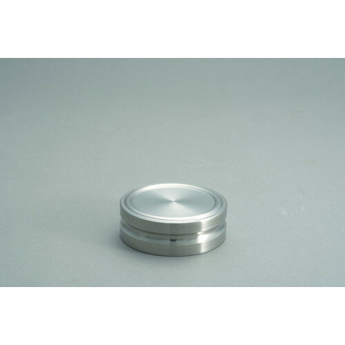 VIBRA F2DS?50G：円盤分銅 50g F2級（非磁性ステンレス）