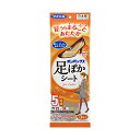 エステー オンパックス 足ぽかシート For ladies 5時間 22cm 3