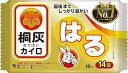 小林製薬 桐灰はる10個(カイロ)(2)