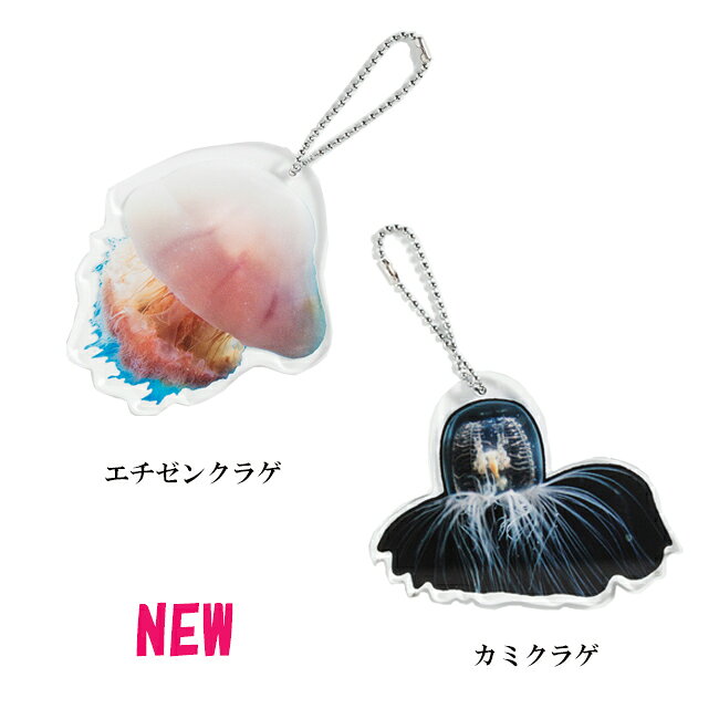 【きれいなクラゲに癒されよう】Jelly Fish Key holder ジェリーフィッシュキーホルダー【安心の日本製】 アクセサリー 大きめサイズ リアル 存在感たっぷり かわいい 雑貨 プレゼントの商品画像 2