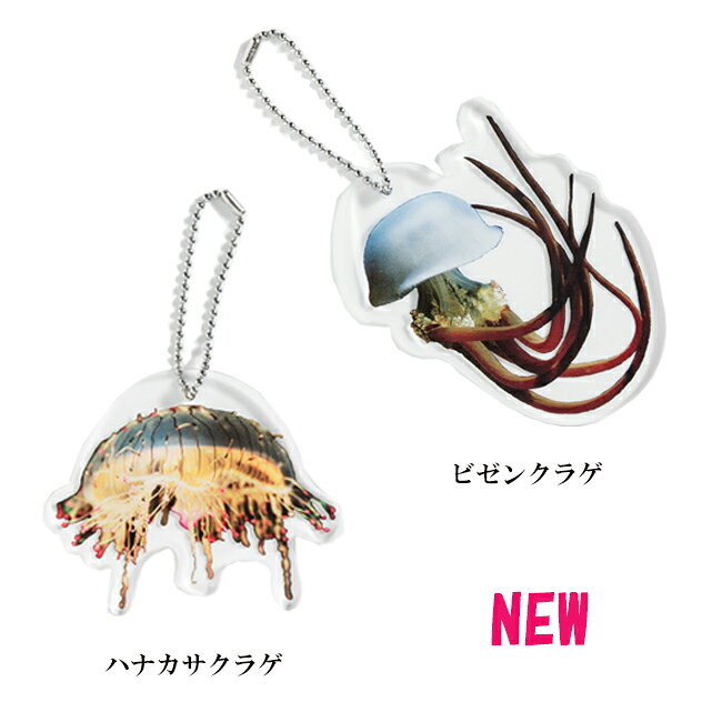 【きれいなクラゲに癒されよう】Jelly Fish Key holder ジェリーフィッシュキーホルダー【安心の日本製】 アクセサリー 大きめサイズ リアル 存在感たっぷり かわいい 雑貨 プレゼントの商品画像 3
