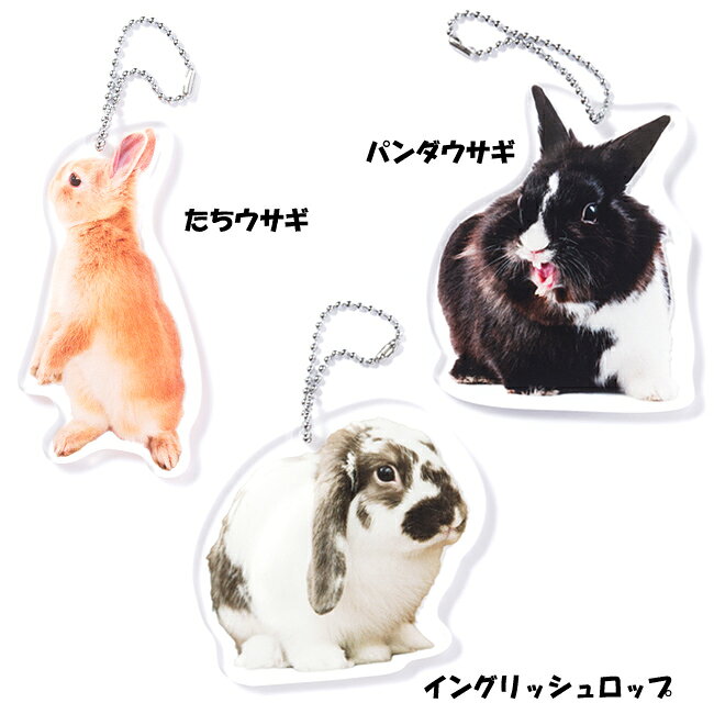 かわいい うさぎ キーホルダー 全8種類　アクセサリー ウサギ 兎 大きめサイズ リアル 雑貨 マスコット チャーム グッズ RABBIT Key holder ラビット キーホルダーの商品画像 2