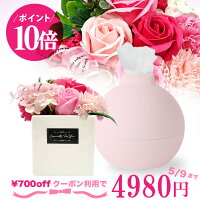 母の日 ラッピング無料 700円OFFクーポン！2セット以上で15%OFFクーポン 5/15まで ...