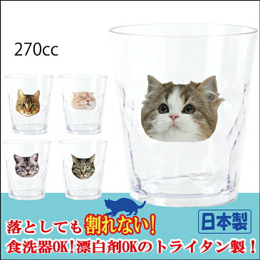 270ccタンブラートライタン ネコ 食洗器OK 漂白剤OK コップ 割れない コップ 茶トラ スコチン アメショ キジトラ スコティッシュ グラス ギフト キャンプ アウトドア パーティー 女子会 子供会 景品 クリスマス