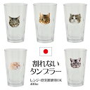 400cc ネコ タンブラートライタン 食洗器OK 漂白剤OK コップ 割れない コップ 茶トラ スコチン アメショ キジトラ スコティッシュ グラス ギフト ...