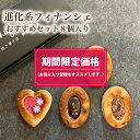 【期間限定価格】 ティグレ おすすめセット 8個入り 敬老の日 ギフト お菓子 のし無料 焼き菓子 出産 内祝いプレゼント おしゃれ かわいい フィナンシェ 高級 スイーツ 洋菓子 個包装 送料無料( プレーン モンブラン キャラメル ラズベリー )